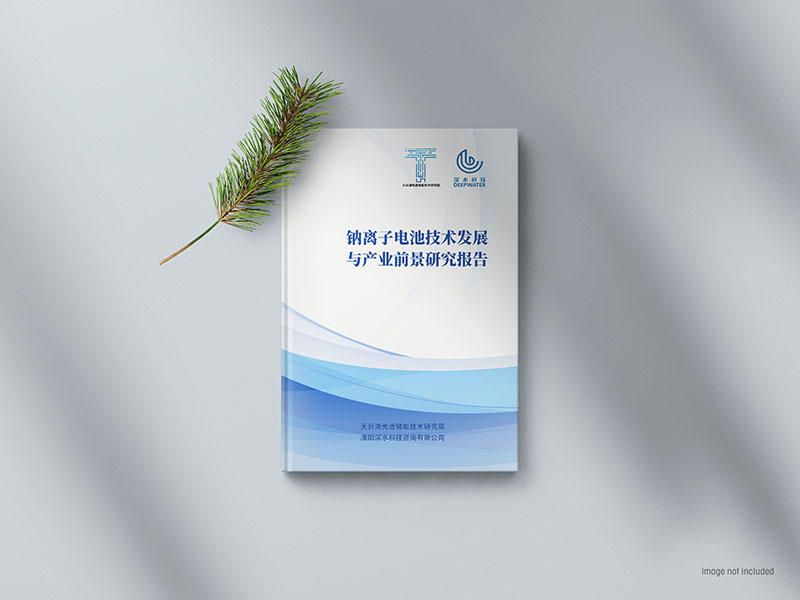 鈉離子電池技術發展與產業前景研究報告